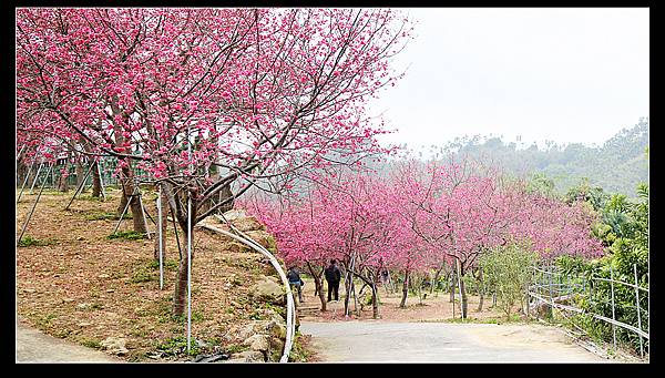 未命名_全景7.jpg