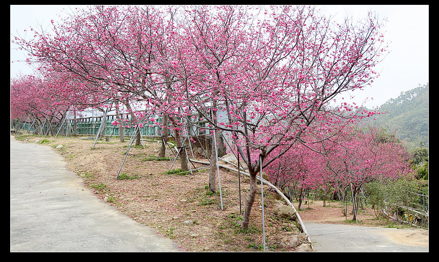 未命名_全景11.jpg