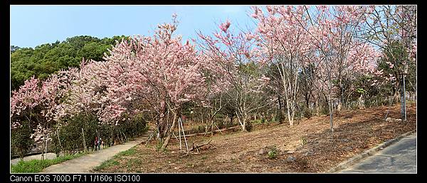 未命名_全景5.jpg