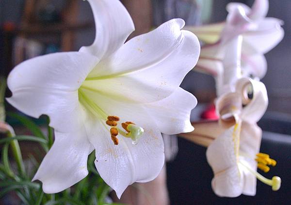 DSC_0405 DSC_0405