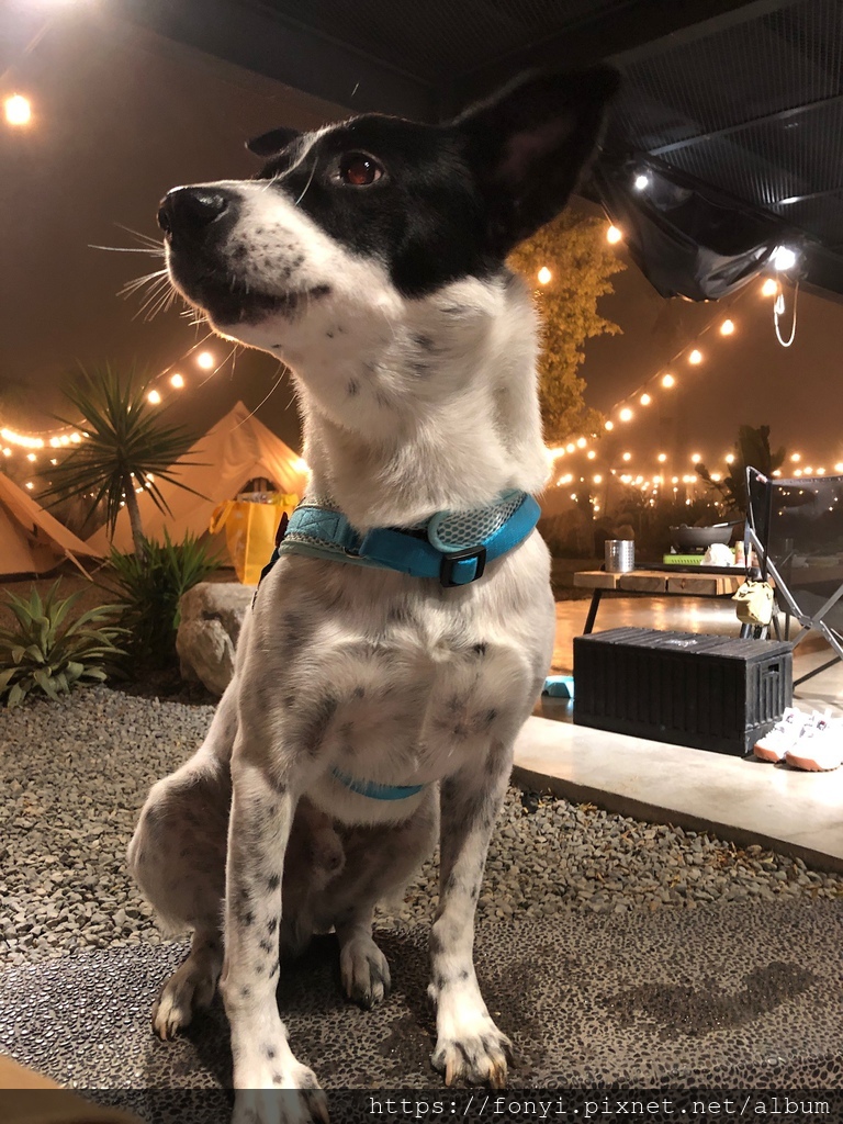 IMG_0442.JPG IMG_0442.JPG