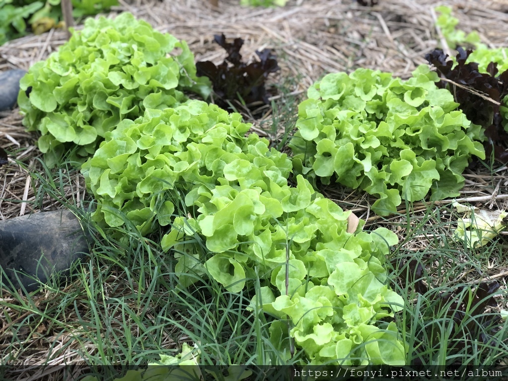 IMG_2209.jpg IMG_2209.jpg