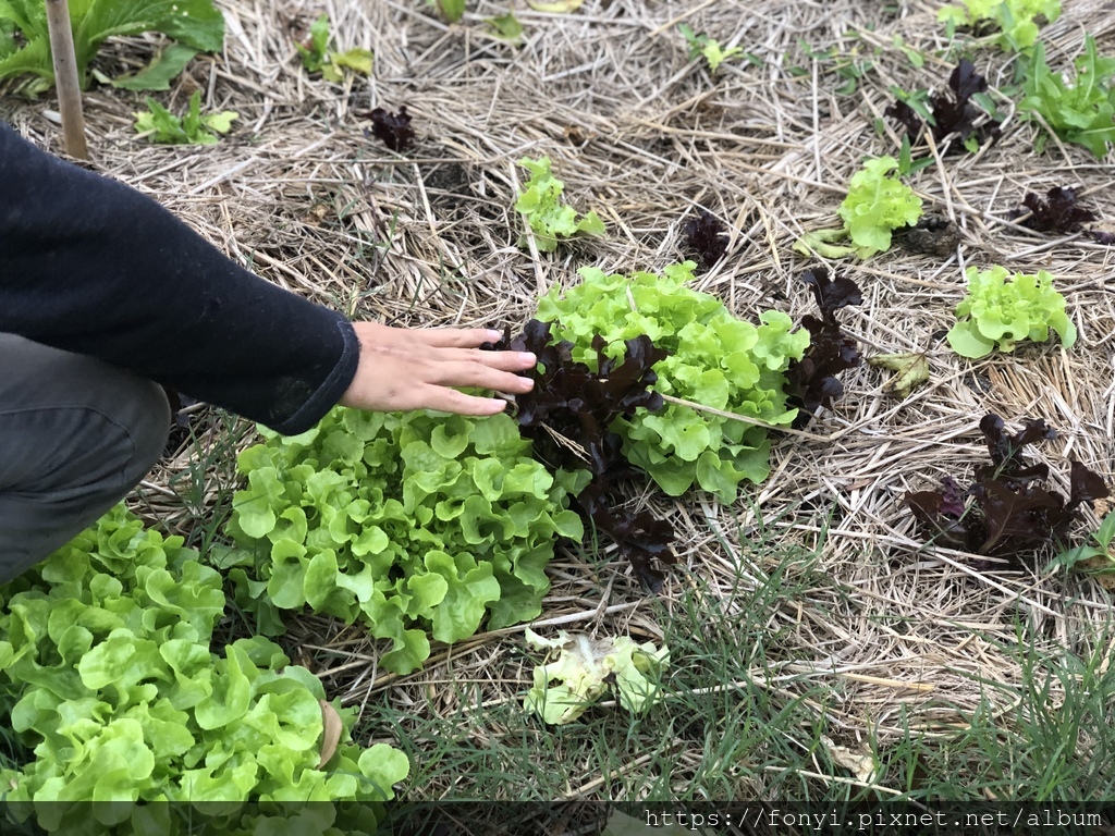 IMG_2211.jpg IMG_2211.jpg