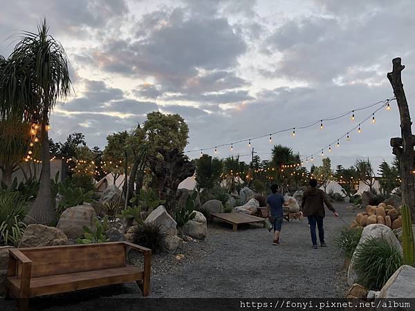 IMG_2213.jpeg IMG_2213.jpeg