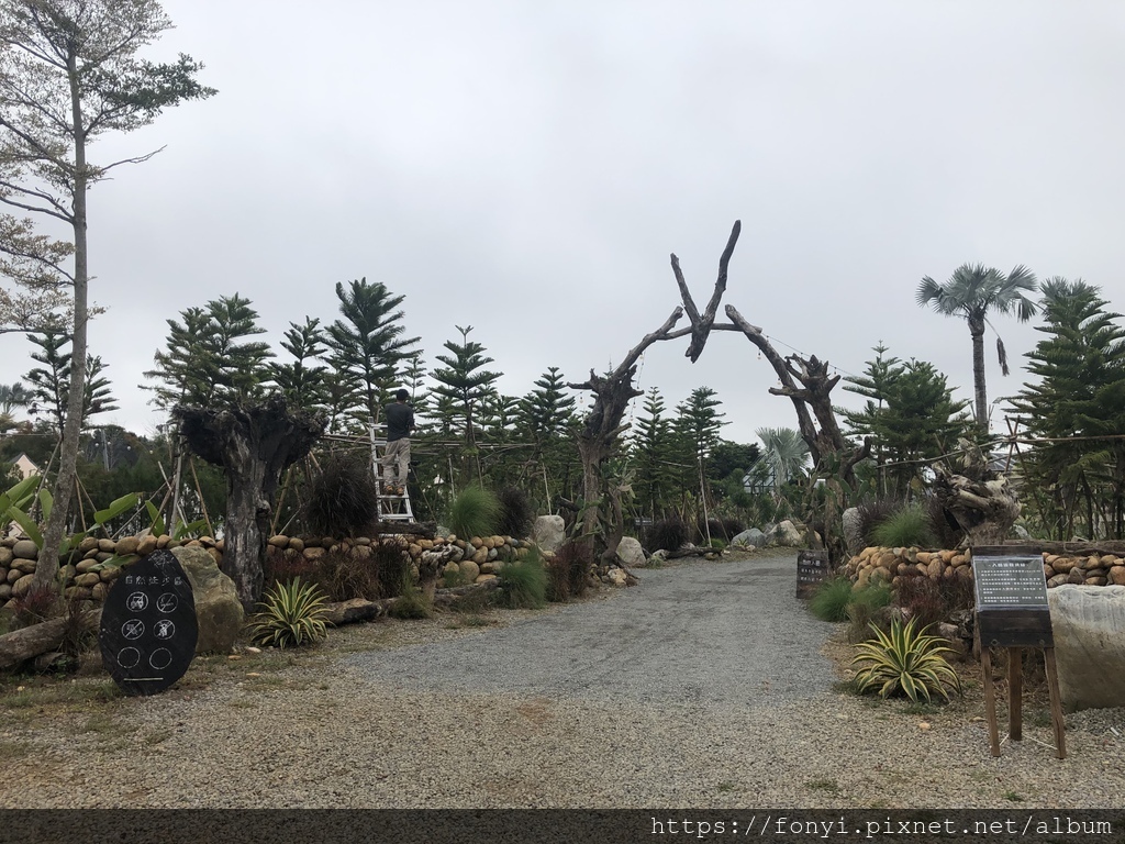 IMG_2293.jpeg IMG_2293.jpeg