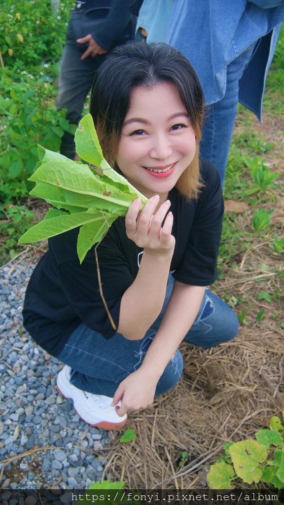 IMG_2527.JPG IMG_2527.JPG