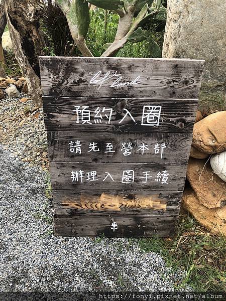 IMG_2290.jpeg IMG_2290.jpeg