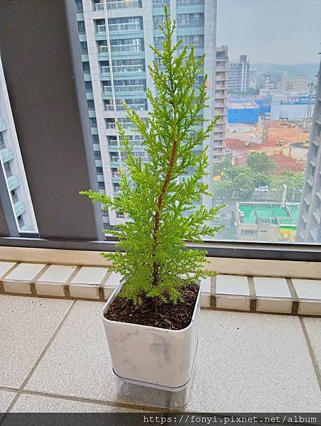 【SHARP AQUOS wish5 開箱評價】安卓手機平價