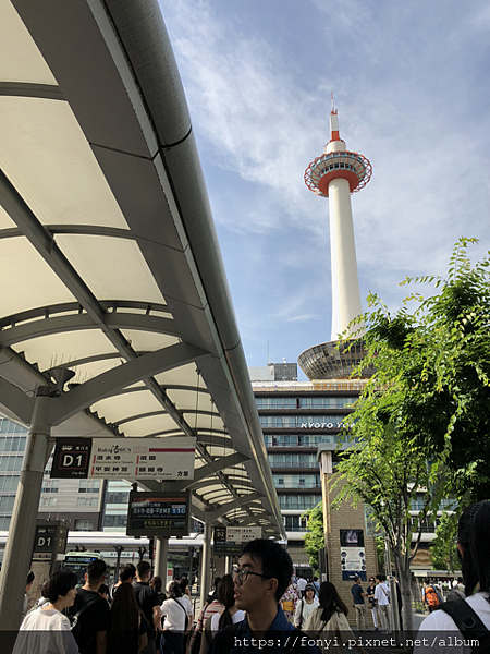 中IMG_0851.png 中IMG_0851.png