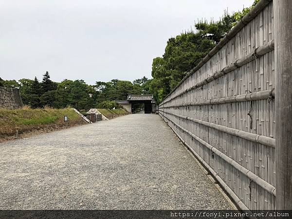 大IMG_1038.jpeg 大IMG_1038.jpeg