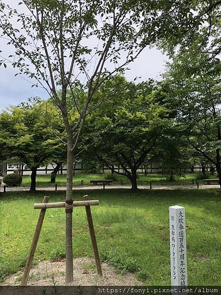 大IMG_1161 2.jpeg 大IMG_1161 2.jpeg