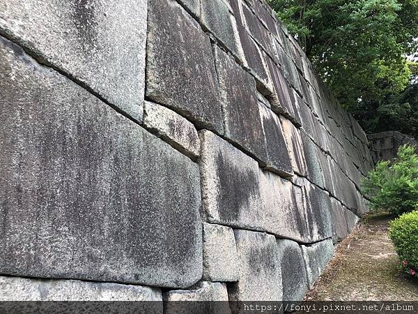 大IMG_1111.jpeg 大IMG_1111.jpeg