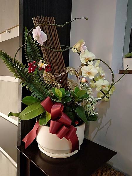 IMG20190805192035.jpg IMG20190805192035.jpg