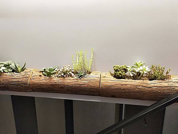 IMG20190805220614.jpg IMG20190805220614.jpg