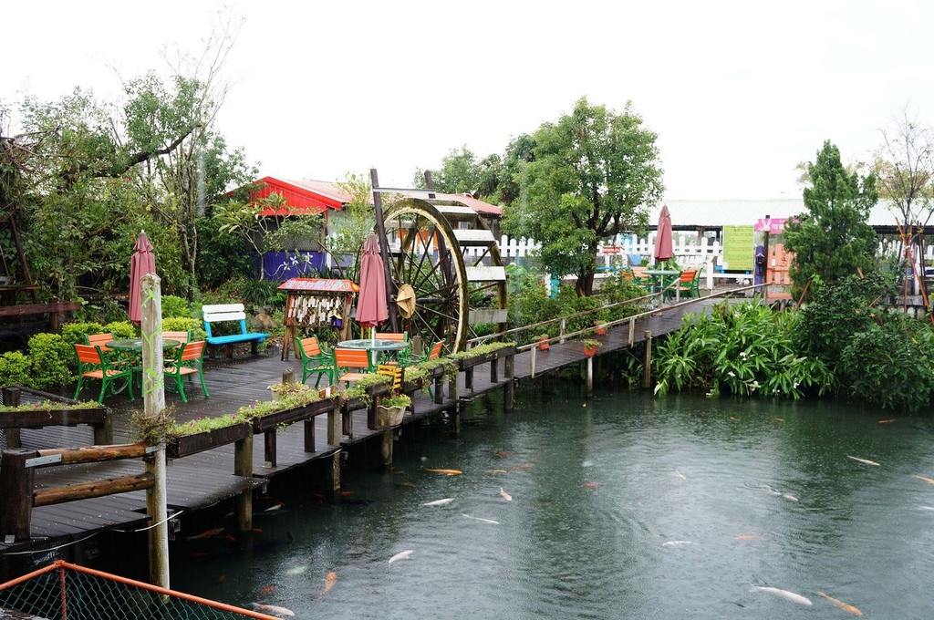 nEO_IMG_DSC02112.jpg nEO_IMG_DSC02112.jpg