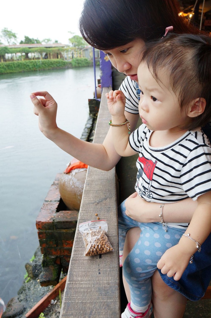 nEO_IMG_DSC02118.jpg nEO_IMG_DSC02118.jpg