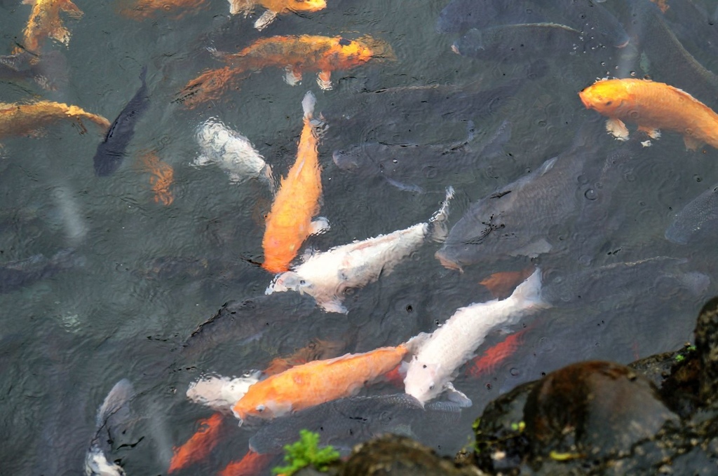 nEO_IMG_DSC02122.jpg nEO_IMG_DSC02122.jpg