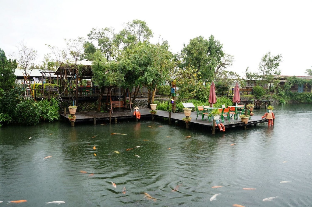 nEO_IMG_DSC02125.jpg nEO_IMG_DSC02125.jpg