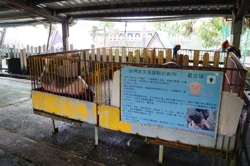 nEO_IMG_DSC02136.jpg nEO_IMG_DSC02136.jpg