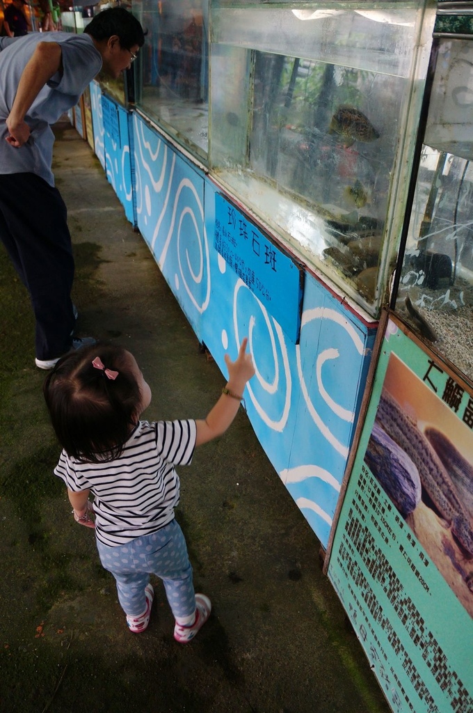 nEO_IMG_DSC02137.jpg nEO_IMG_DSC02137.jpg