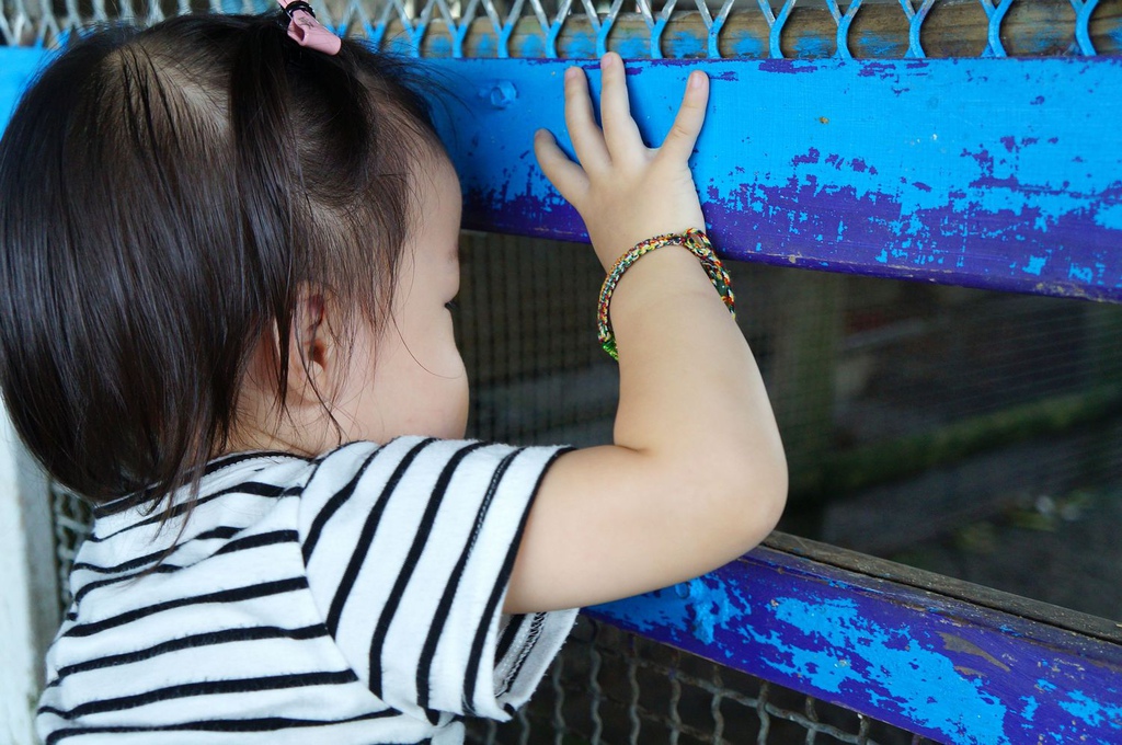 nEO_IMG_DSC02141.jpg nEO_IMG_DSC02141.jpg