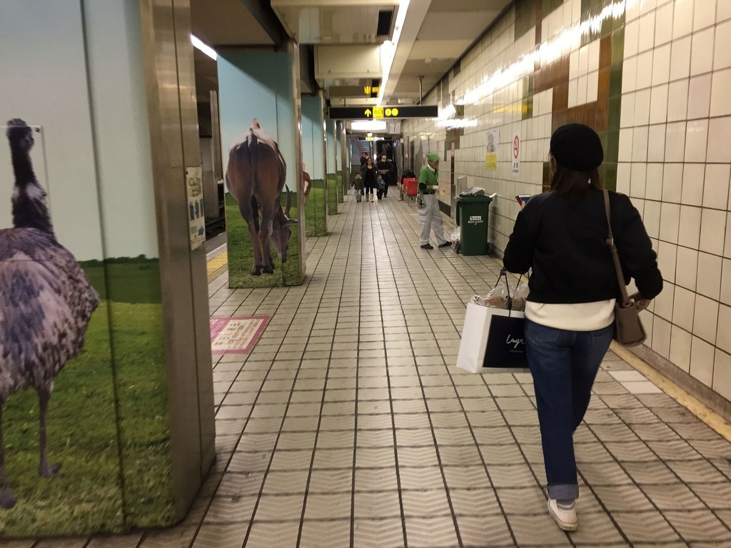 nEO_IMG_IMG_0178.jpg nEO_IMG_IMG_0178.jpg