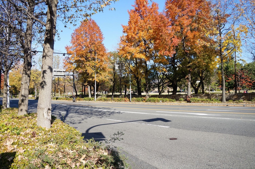 nEO_IMG_DSC02961.jpg nEO_IMG_DSC02961.jpg