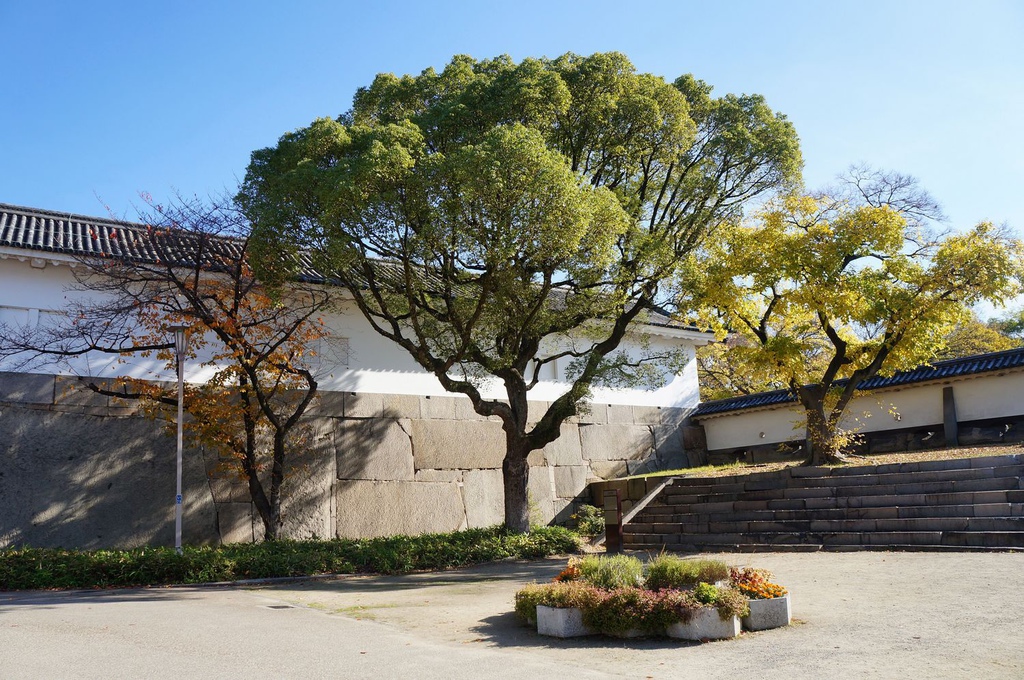 nEO_IMG_DSC02974.jpg nEO_IMG_DSC02974.jpg