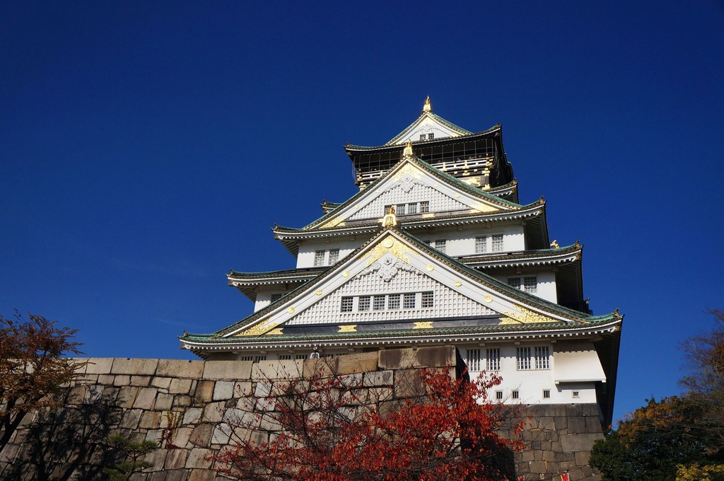 nEO_IMG_DSC02988.jpg nEO_IMG_DSC02988.jpg