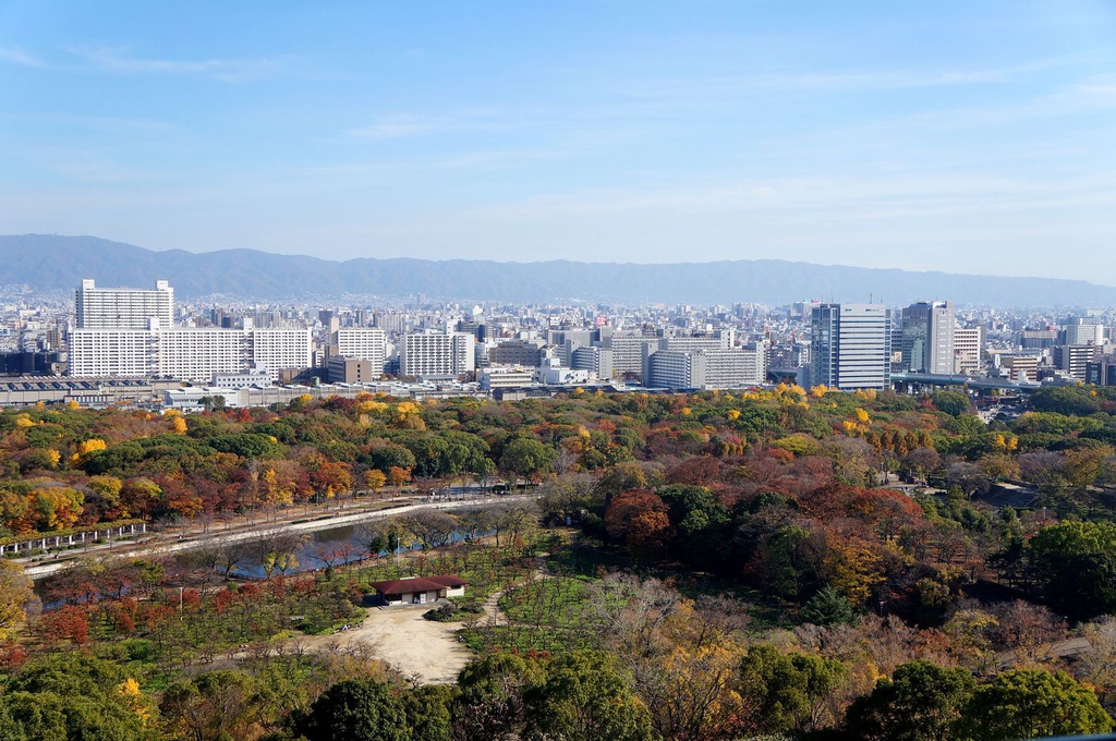 nEO_IMG_DSC02999.jpg nEO_IMG_DSC02999.jpg