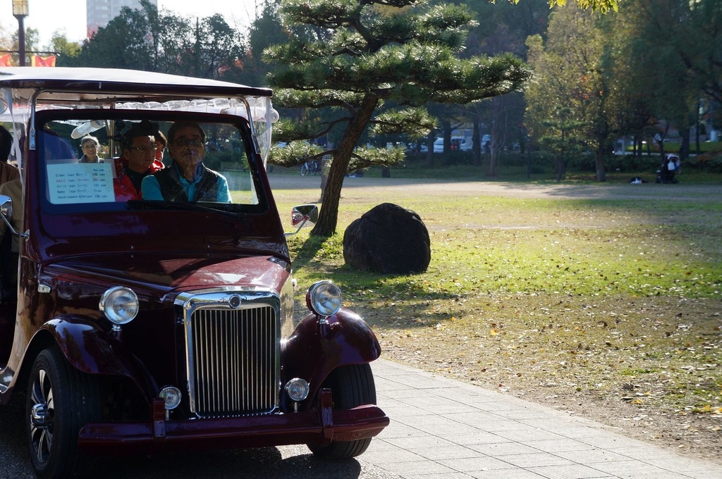 nEO_IMG_DSC03009.jpg nEO_IMG_DSC03009.jpg