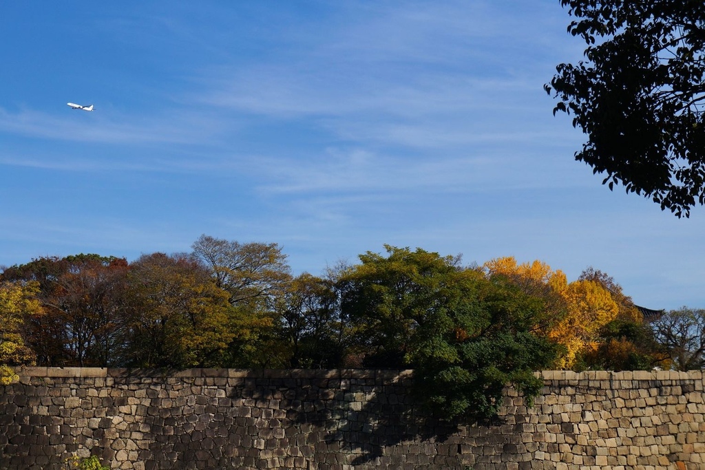 nEO_IMG_DSC03008.jpg nEO_IMG_DSC03008.jpg