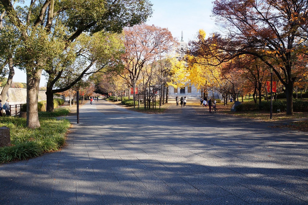 nEO_IMG_DSC03012.jpg nEO_IMG_DSC03012.jpg