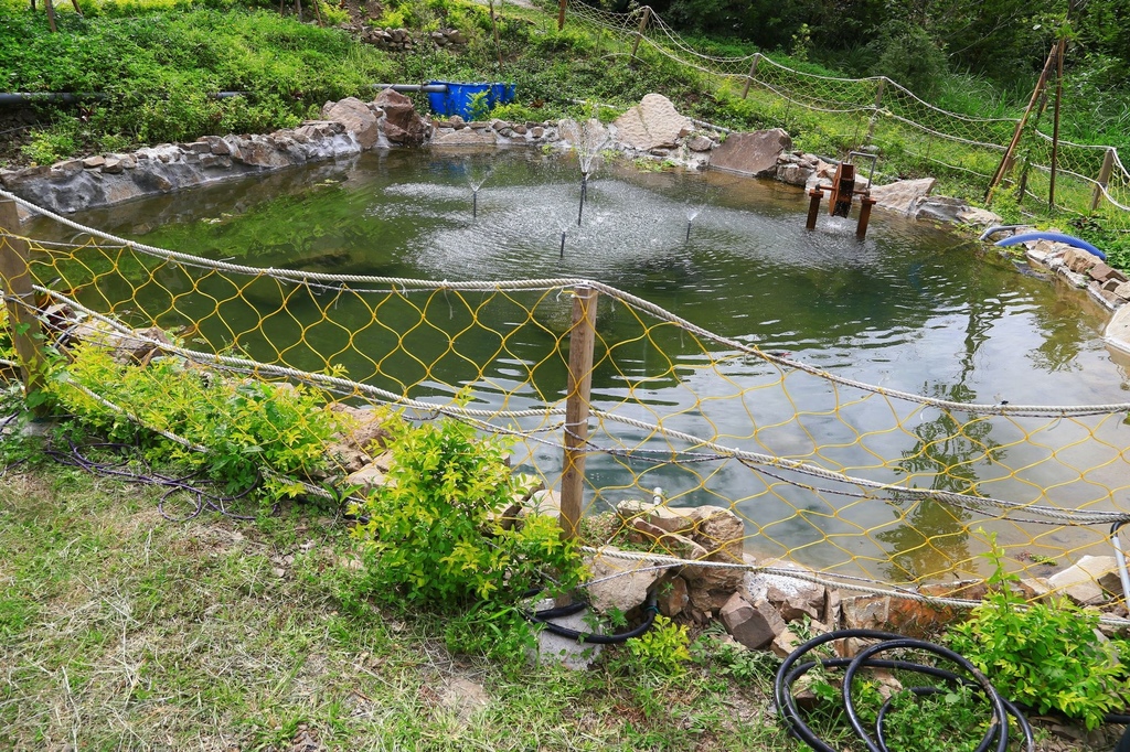 nEO_IMG_IMG_5013.jpg nEO_IMG_IMG_5013.jpg