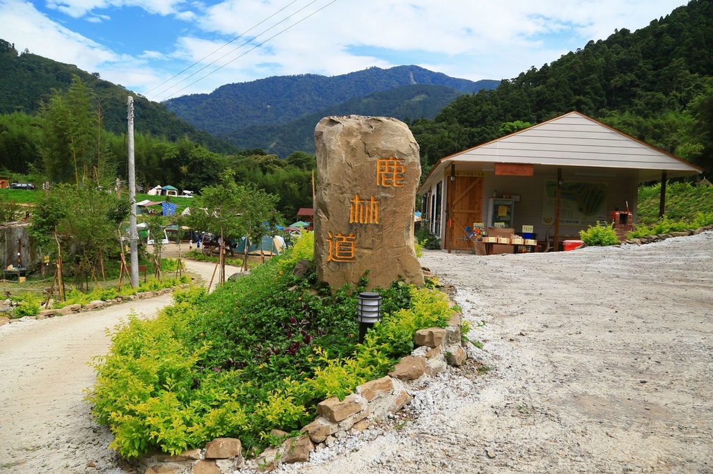 nEO_IMG_IMG_5019.jpg nEO_IMG_IMG_5019.jpg