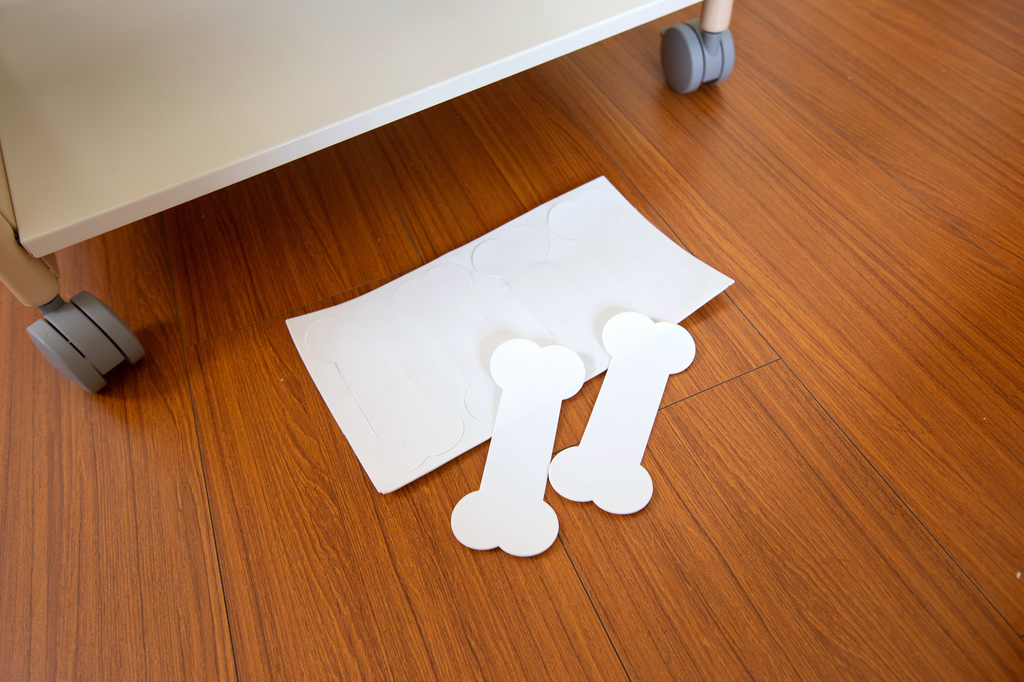 RollingGo_IMG_3735.jpg RollingGo_IMG_3735.jpg