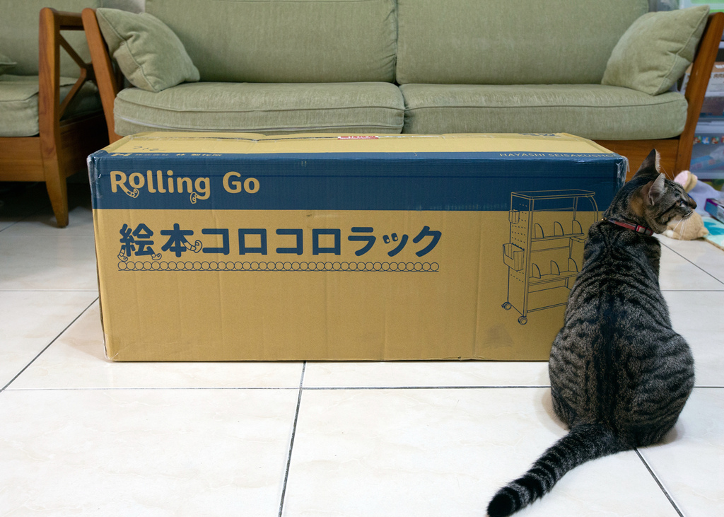 RollingGo_IMG_3652.jpg RollingGo_IMG_3652.jpg