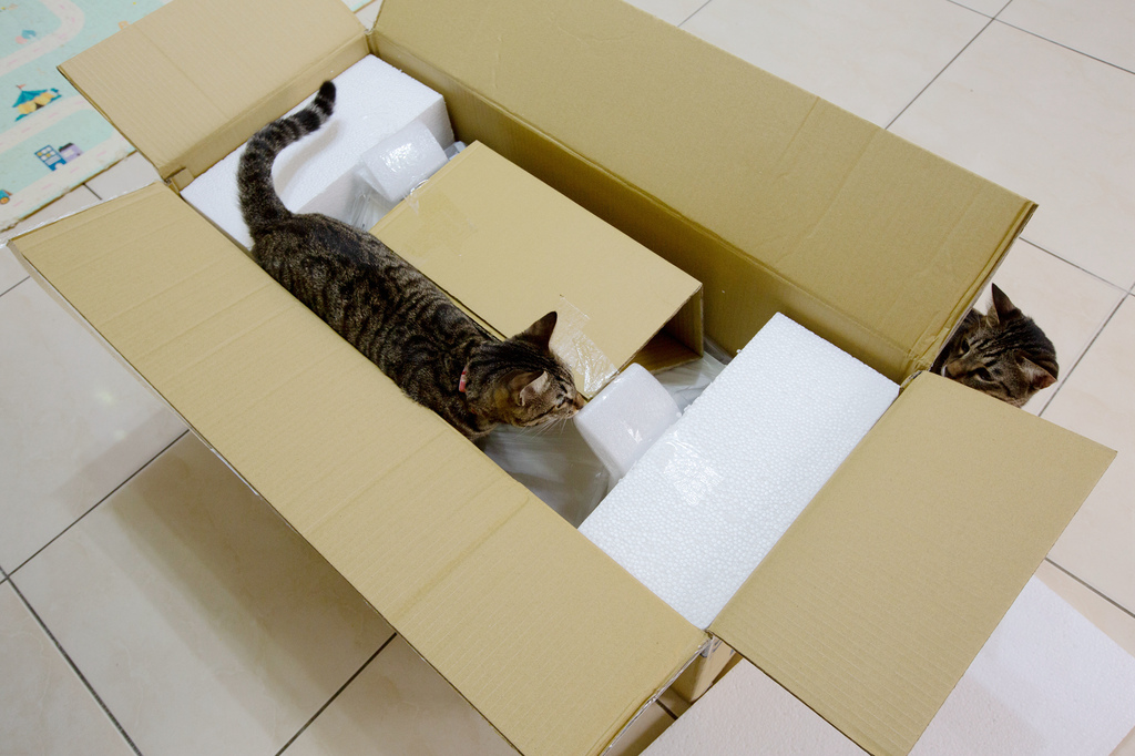 RollingGo_IMG_3656.jpg RollingGo_IMG_3656.jpg