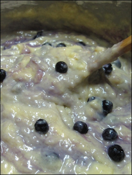 Blueberry Muffin 02.jpg