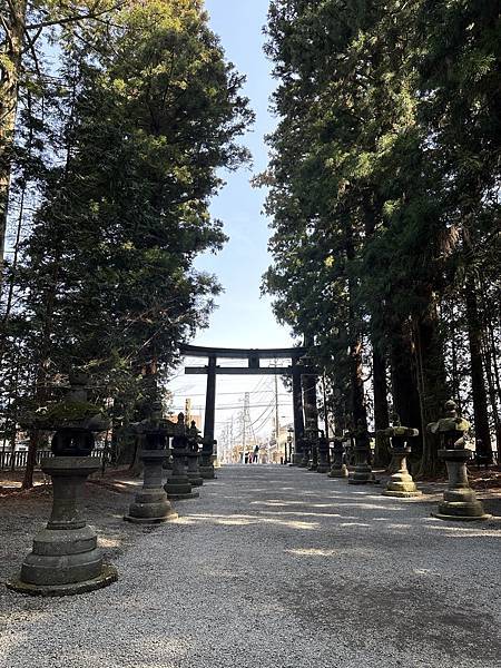 ＊日本東京＊2023/3/9 河口湖看富士山/忍野八海