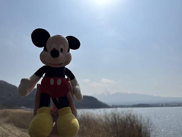 ＊日本東京＊2023/3/9 河口湖看富士山/忍野八海