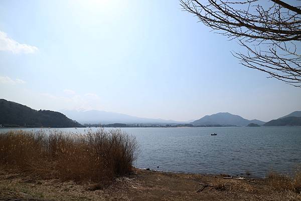 ＊日本東京＊2023/3/9 河口湖看富士山/忍野八海