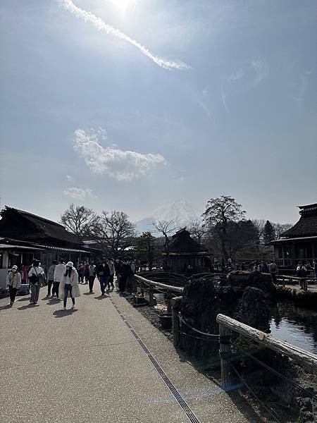 ＊日本東京＊2023/3/9 河口湖看富士山/忍野八海