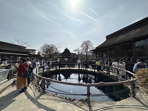 ＊日本東京＊2023/3/9 河口湖看富士山/忍野八海