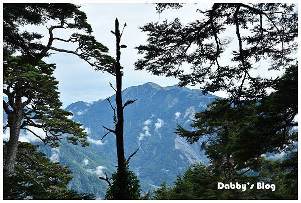 DSC_2590雲峰.JPG