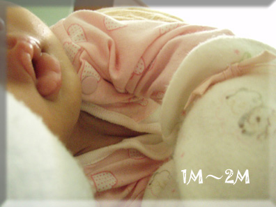 035.【1M3W7D】