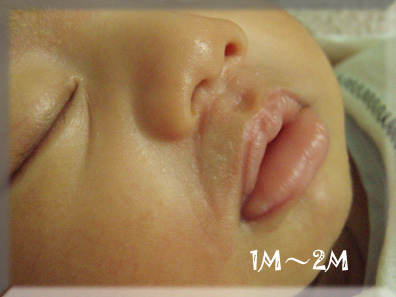027.【1M2W3D】