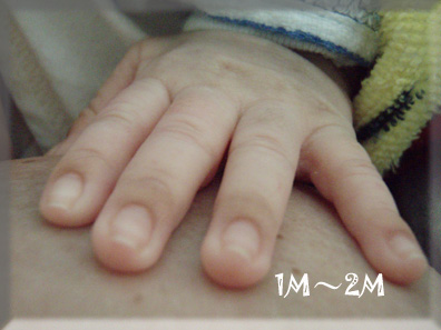 028.【1M2W5D】