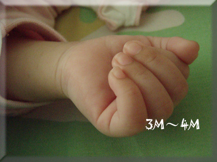 058.【2M2W3D】