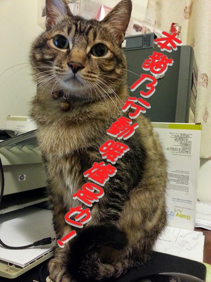 20141228_125812.jpg